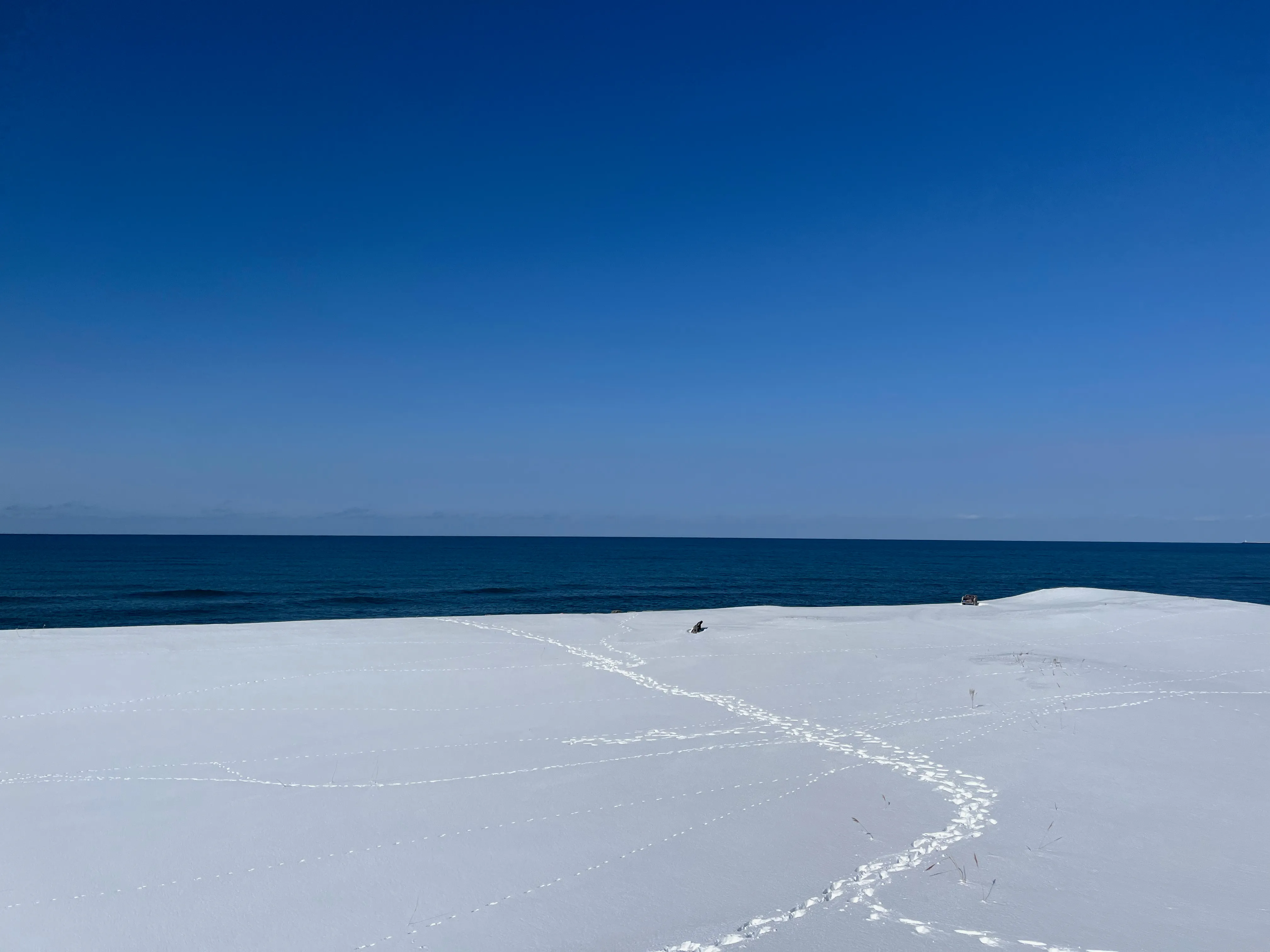 オロロンラインからの海の景色